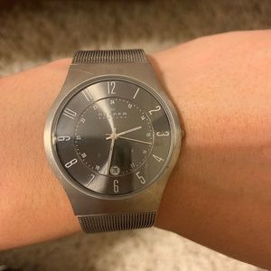 Silver Skagen Watch